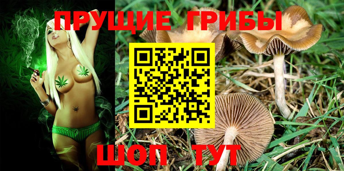 Саяногорск  Псилоцибиновые грибы мицелий  Вход с VPN 
